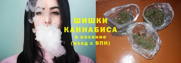 сатива Билибино