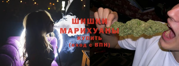 прущие грибы Дмитров