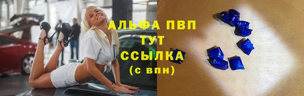 прущие грибы Дмитров