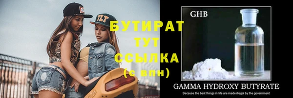 прущие грибы Дмитров
