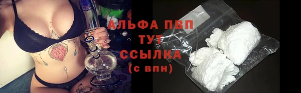прущие грибы Дмитров