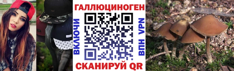 Псилоцибиновые грибы GOLDEN TEACHER  Емва 